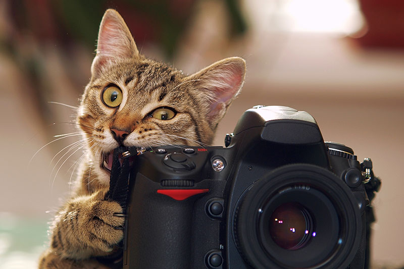 Международная детско-юношеская Премия Экология - дело каждого!